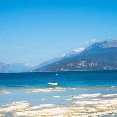 百人牛牛游戏下载手机版