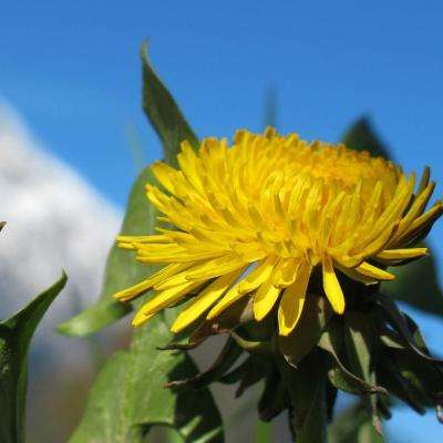 新澳门游戏网站入口手机app下载