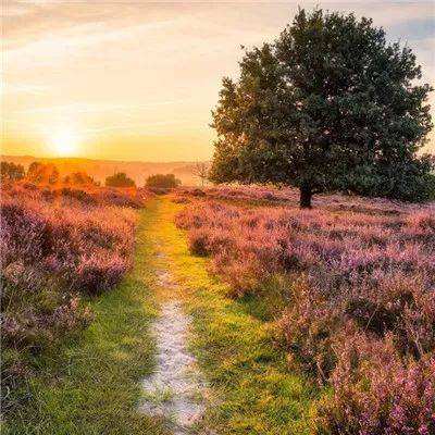 爱体育官方appapp下载