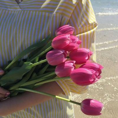 一分极速赛车平台